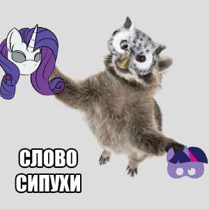 слово сипухи.png