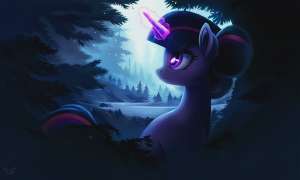 17437690700371.webp