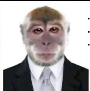 17445731472440.jpg