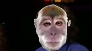 video.mp4