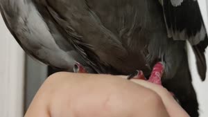 VID20250714221219 (video-converter.com).mp4