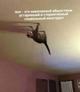17523394073281.jpg
