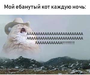 17523395235841.jpg
