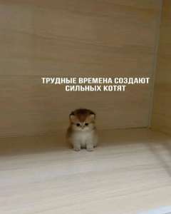 17523396156731.jpg
