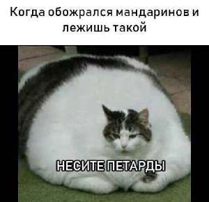 17523395846337.jpg