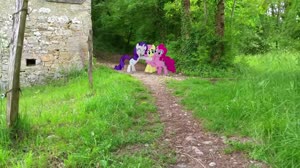 relax.webm