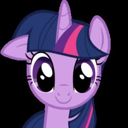 2188728.webm