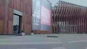 17528216507351.webm
