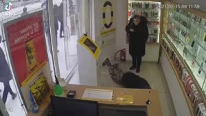 понитред.mp4