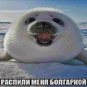 i.webp