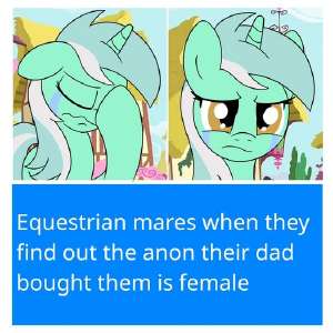 3566241artist+neededsource+neededsafelyra+heartstringsponyunicorng42+panel+comiccomiccryingfacehoofhornimplied+femanonsolotext.png