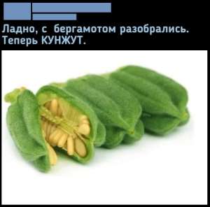 qe7hpbuylg.jpg
