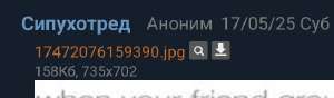 Screenshot2025-08-08-16-37-24-893org.mozilla.firefox-edit.jpg