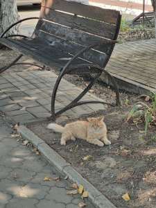 IMG20250729094953.jpg