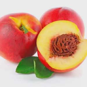 images.webp