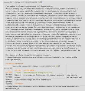 гриб ведает.jpeg
