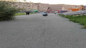 VID20250822200106.mp4
