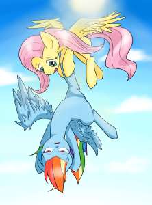 fluttershyandrainbowdashbynekokevin-d68qlzb.png