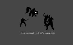 rdninjas.jpg