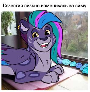 17068488012360.png