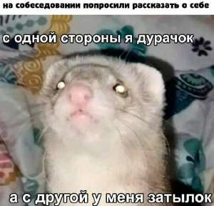 17399913967601.jpg