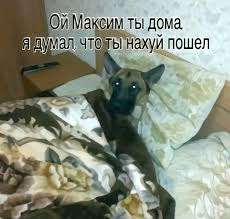images.jpg