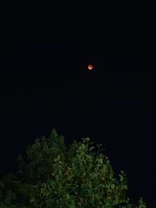 IMG20250907213607.jpg