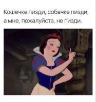 6xjotsg6lg.jpg