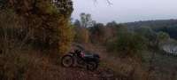 IMG20241011175358876.jpg