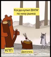 document5402151659512035170.mp4