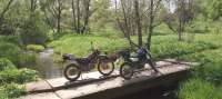 IMG20250525133128827.jpg