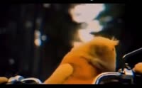 document5314409051067549751.mp4