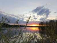 IMG20250424194403.jpg