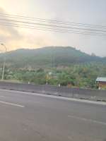 IMG20250419054745.jpg