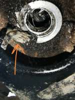IMG20250613232011.jpg