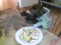 Яков Николаевич.mp4
