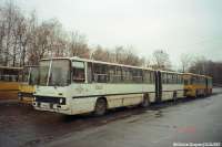 2656274.jpg