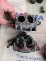 PXL20250604060915476.MP.jpg