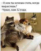 17434710898410.jpg