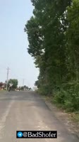 4.mp4