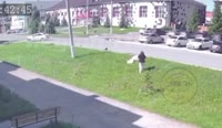 oilvllpxs0f0d14m1820x476.webm