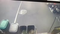 efhbcu4ms0f0d9m0960x544.webm