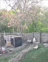 zoxrdjpks0f0d6m0652x842.mp4