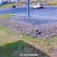 fbhhpzuqs0f0d21m0640x640.mp4
