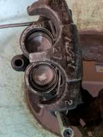PXL20250609092010221.jpg
