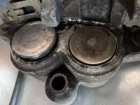 PXL20250610071951993.jpg