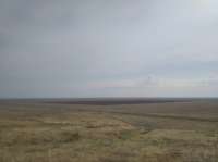 IMG20250618090229.jpg