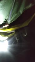 VID20250619002749.mp4