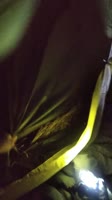VID20250619003127.mp4