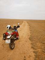 IMG20250619083514.jpg